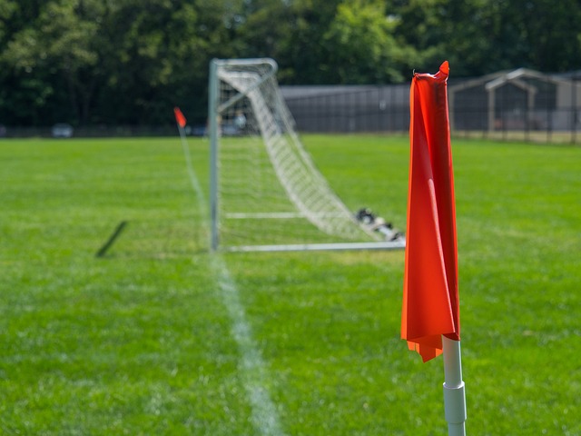 离不开新鲜 离不开新鲜