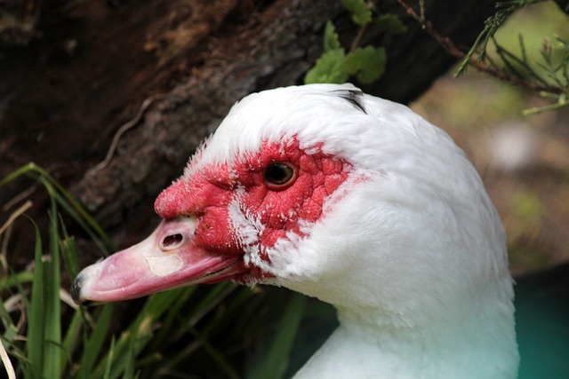 生了负面影 生了负面影