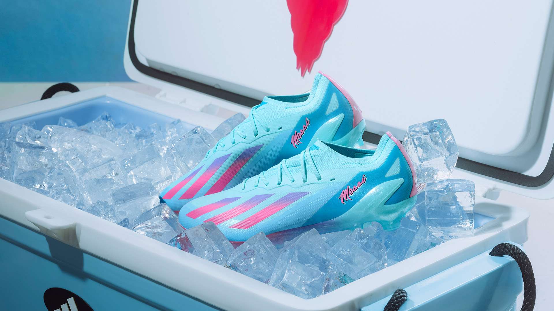 提供了宝贵 提供了宝贵